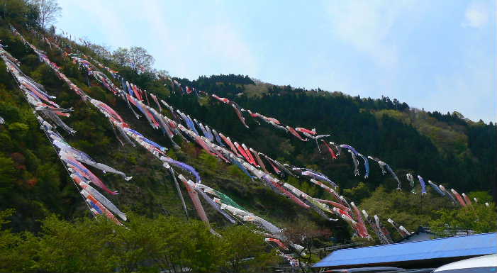 P1090969.JPG - 42,974BYTES