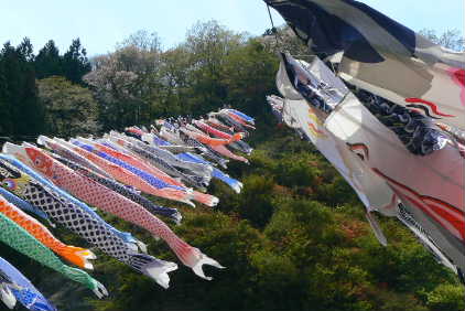 P1090973.JPG - 28,713BYTES