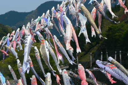 P1090982.JPG - 33,067BYTES