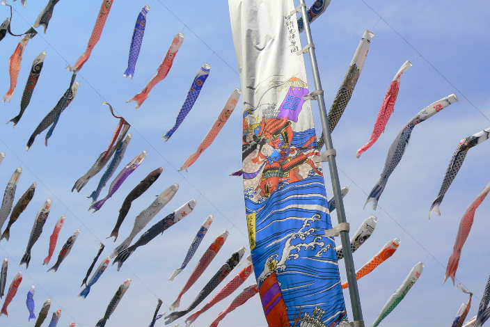 P1100001.JPG - 51,448BYTES