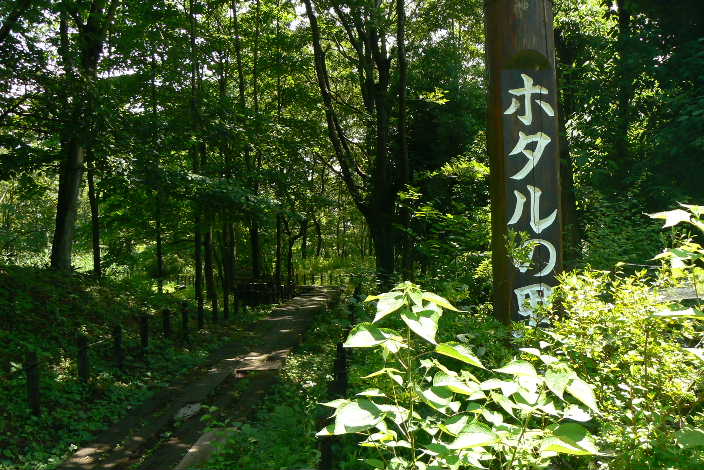P1100403-1.JPG - 89,624BYTES