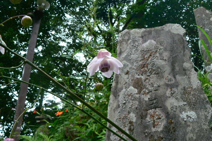 P1100889-2.JPG - 69,827BYTES