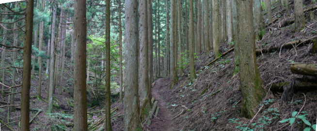 P1110113-1.JPG - 35,218BYTES