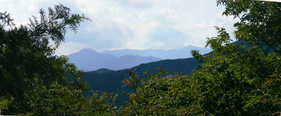P1110150-1.JPG - 54,034BYTES