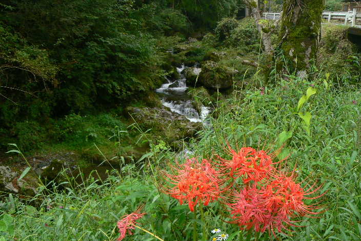 P1110187.JPG - 78,069BYTES