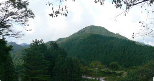 P1110191-P.JPG - 21,150BYTES