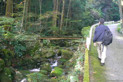 P1110200.JPG - 29,734BYTES