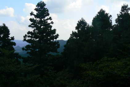 P1110212.JPG - 16,680BYTES