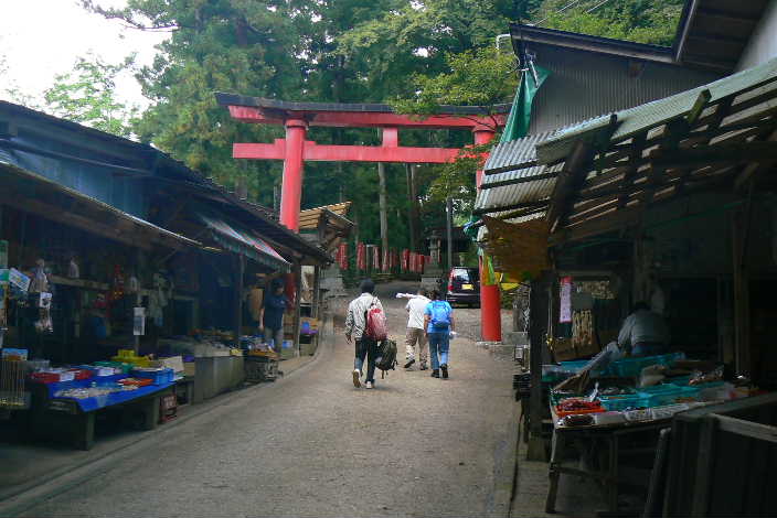 P1110215.JPG - 50,922BYTES