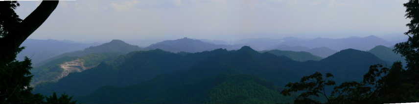 P1110223-P.JPG - 14,440BYTES