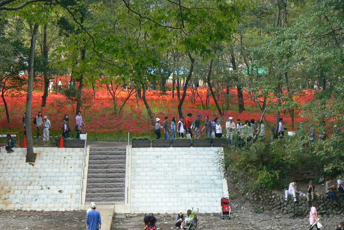 P1110260.JPG - 74,824BYTES