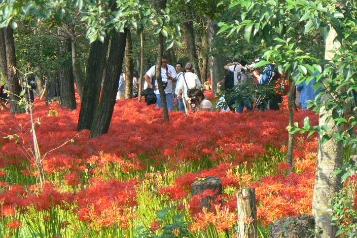 P1110262.JPG - 87,088BYTES