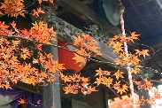 P1110676-1.JPG - 13,502BYTES
