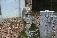 P1110827-1.JPG - 10,303BYTES
