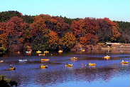 P1110878-3.JPG - 10,089BYTES
