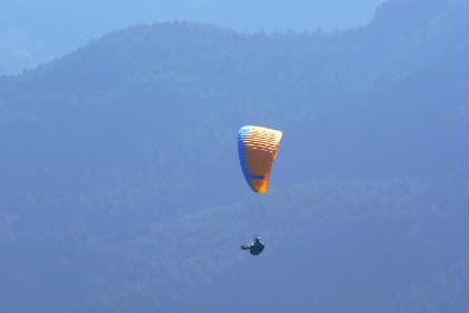 P1110975-1.JPG - 8,220BYTES