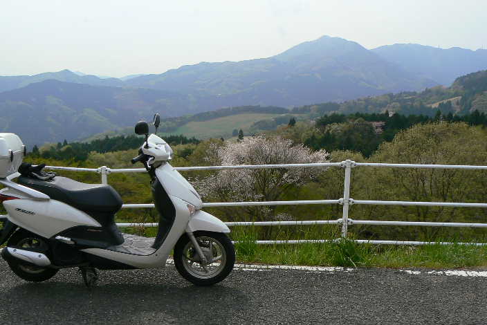 P1120695-1.JPG - 46,821BYTES