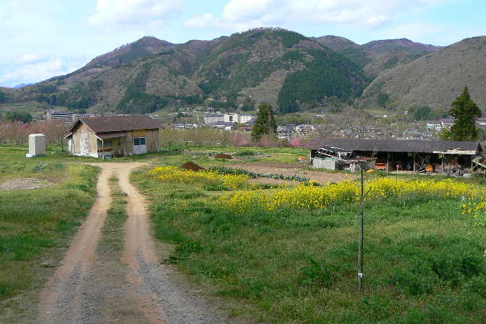 P1120815-1.JPG - 57,398BYTES