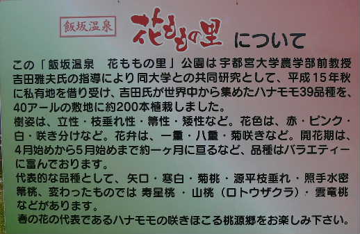 P1120831.JPG - 38,193BYTES