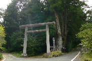 P1130495-1.JPG - 9,517BYTES