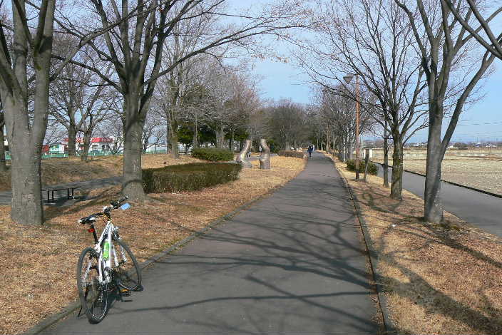 P1140081.JPG - 74,349BYTES