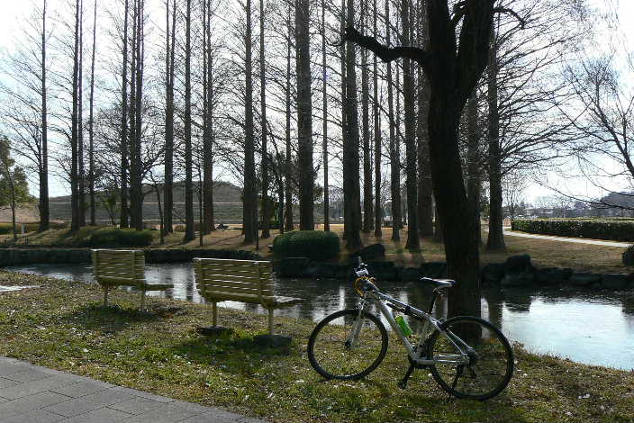 P1140087.JPG - 84,624BYTES