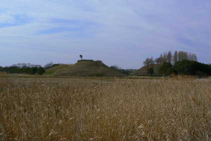 P1140090.JPG - 16,222BYTES