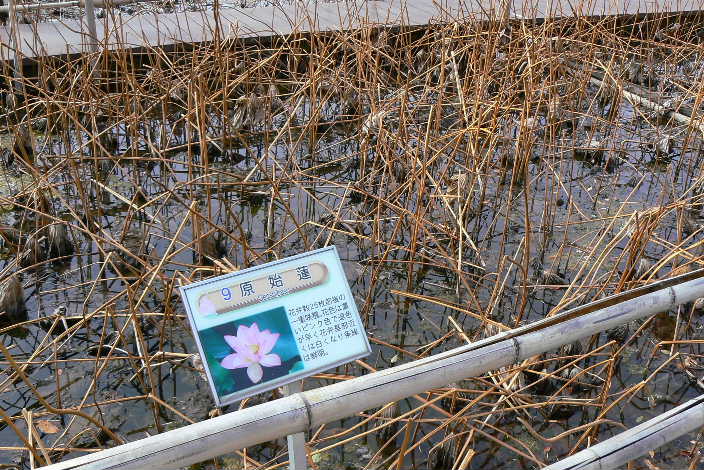 P1140096.JPG - 105,953BYTES