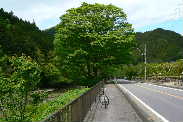 P1140590-2.JPG - 10,602BYTES