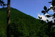 P1150349-1.JPG - 8,738BYTES